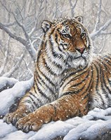 Power And Grace Fine Art Print