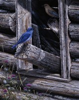 Meeting Place Fine Art Print