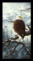 Eagle Rest Fine Art Print
