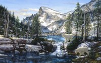 Summer In The Enchantments Fine Art Print