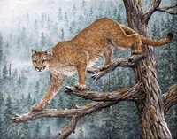 High Climber Fine Art Print