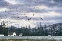 Geese Flying Over Farmland Fine Art Print