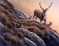 Deer And Grouse Fine Art Print