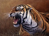 Final Warning Fine Art Print