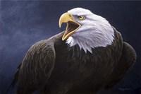 Cry Of The Eagle Fine Art Print