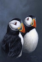 Puffins Fine Art Print