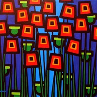 Night Poppies Fine Art Print