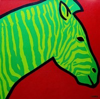Irish Zebra Fine Art Print