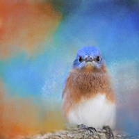 Blue Is Beautiful Fine Art Print