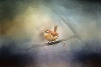Brighten My World Wren Fine Art Print