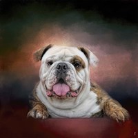 Bulldog Hanging Out Fine Art Print