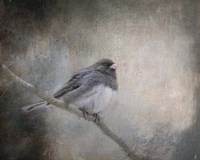 By Winter's Light Fine Art Print