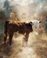 Calf In The Sunday Sun Fine Art Print