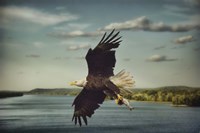 Catch Of The Day Fine Art Print