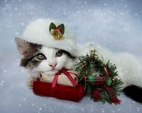 Christmas Kitten In The Snow Fine Art Print
