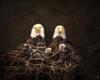 Family Is Forever Bald Eagles Fine Art Print