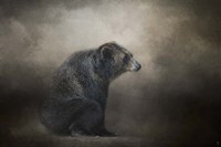 Grizzly At Rest Fine Art Print