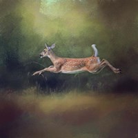 I Can Fly White Tailed Fawn Fine Art Print