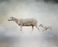 In My Mothers Footsteps Sheep and Lamb Fine Art Print