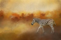 In The Heat Of The Summer Fine Art Print