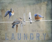 Laundry Day Bluebirds Framed Print