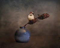 Little Sparrow Friend Fine Art Print