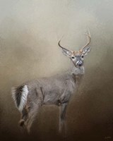 Master Of The Forest Fine Art Print