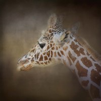 My Tallest Friend Fine Art Print