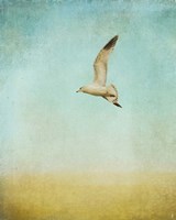 Out To Sea Fine Art Print