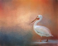 Pelican Walk Fine Art Print