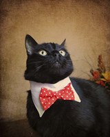 Ready For Dinner Fine Art Print