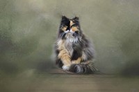 Rooftop Roost Fine Art Print