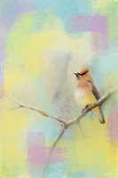 Song Of The Waxwing Fine Art Print