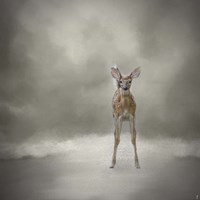 Stand Strong Little Fawn Fine Art Print