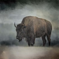 Stormy Day Buffalo Fine Art Print