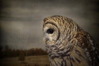 The Surveyor Fine Art Print