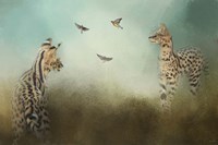 Watching The Waxwings Fine Art Print