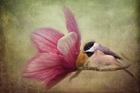 Welcome Spring Fine Art Print