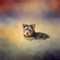 Yorkie Loving The Leaves Fine Art Print