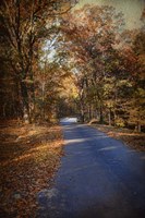 Allure Of Autumn Fine Art Print