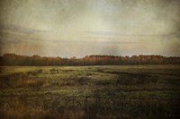 Autumn Flame Fine Art Print