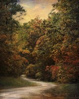 Autumn Forest 1 Fine Art Print