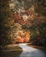 Autumn Passage 1 Fine Art Print
