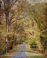 Autumn Passage 2 Fine Art Print