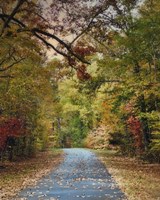 Autumn Passage 3 Fine Art Print