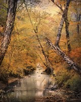 Autumn Riches 1 Fine Art Print