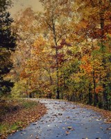 Autumn Splash Fine Art Print