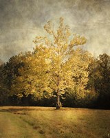 Beginning Of Autumn Fine Art Print