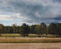 Behind Natures Fence Fine Art Print