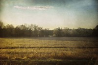 Break In The Trees Fine Art Print